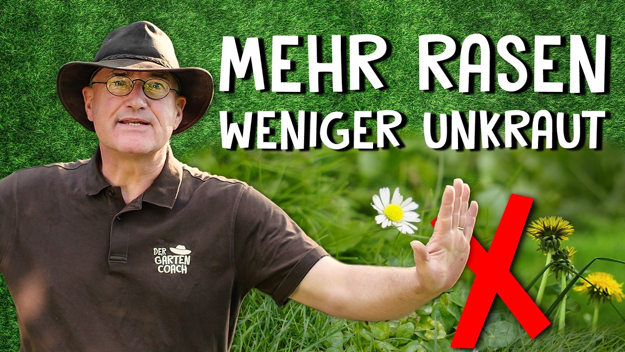Unkraut bekämpfen, Rasen stärken: Anleitung zur Rasenpflege 🌱