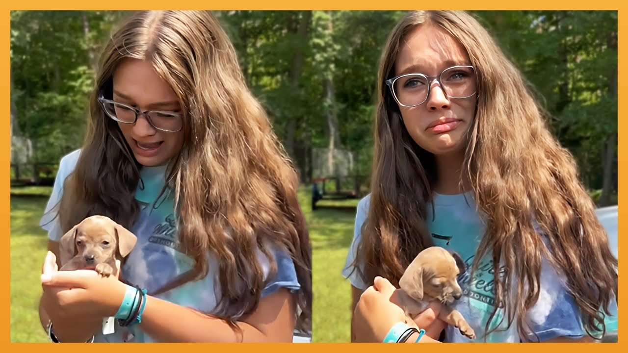 NEW PUPPY SURPRISE COMPILATION 2026 | WHOLESOME SURPRISE MOMENTS