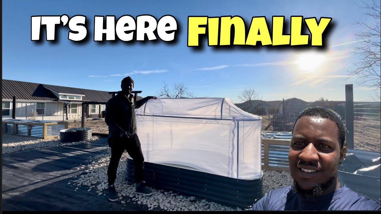 We’ve Been Waiting for this Package!!! || Building Our Forever Homestead || 10 Acres 