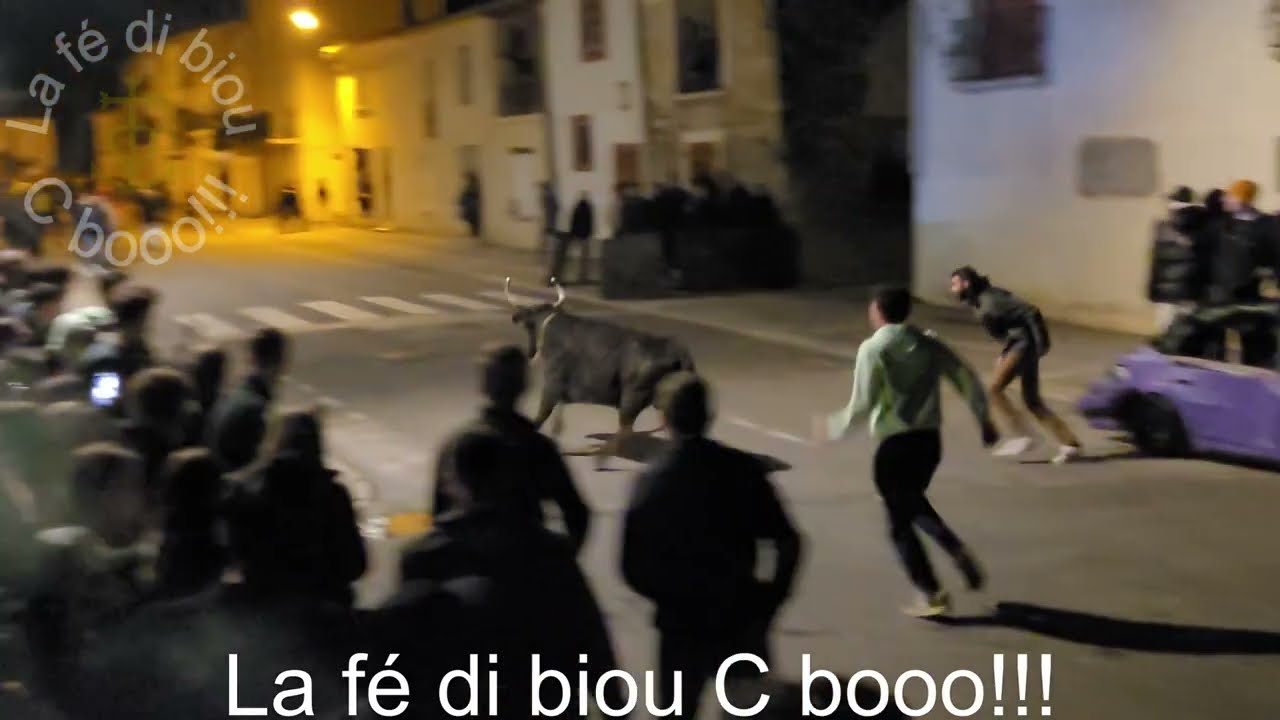 Candillargues - Encierro et Bandido - 06.02.2026.