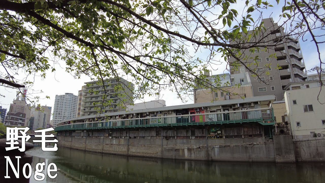 【横浜】野毛を散策 Walking around Noge Yokohama