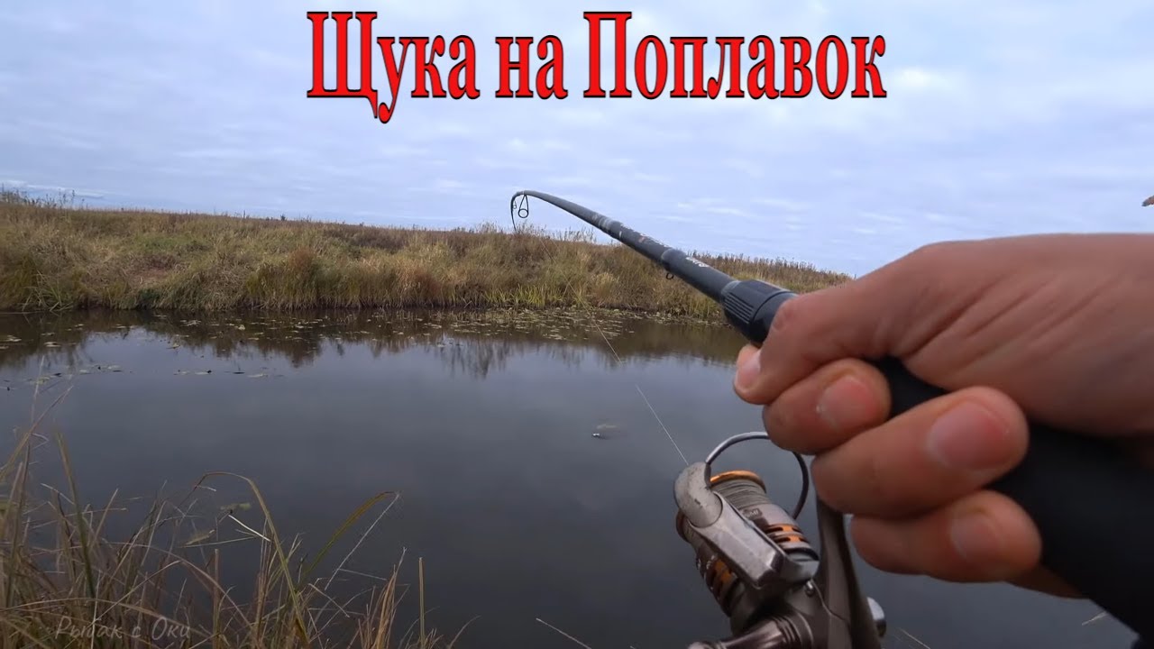Рыбалка на ХИЩНЫЙ Поплавок 2022! Рыбалка на ЩУКУ на ЖИВЦА!