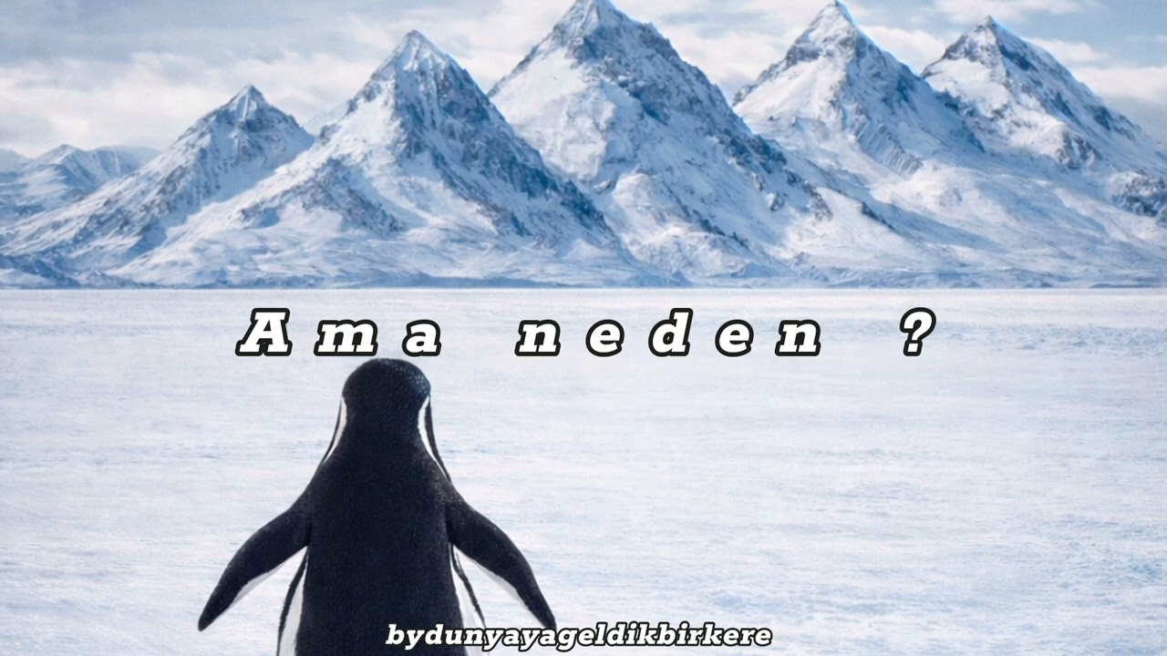 Ama neden ?