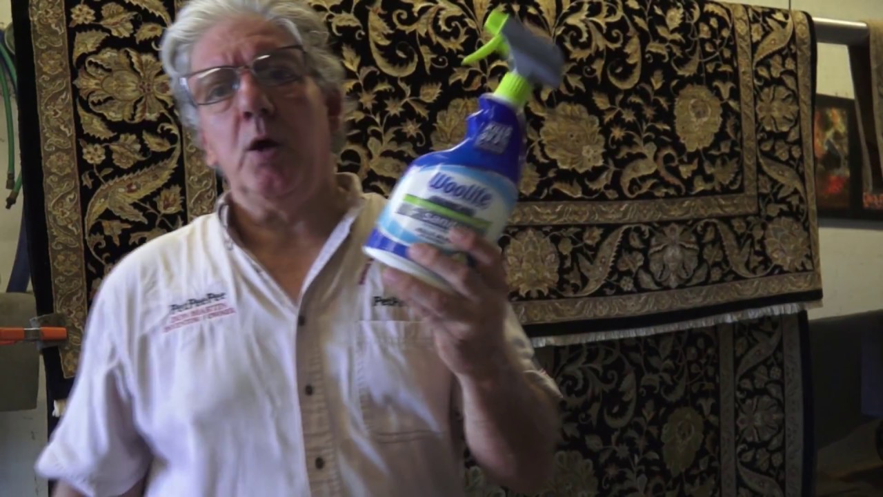How Do Professionals Clean A Persian Rugs | By PetPeePee Company