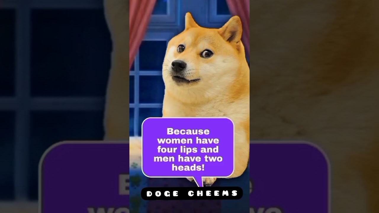 DOGE why men are smarter them womens?? 🌝🌝#cheems #doge #shorts #legends