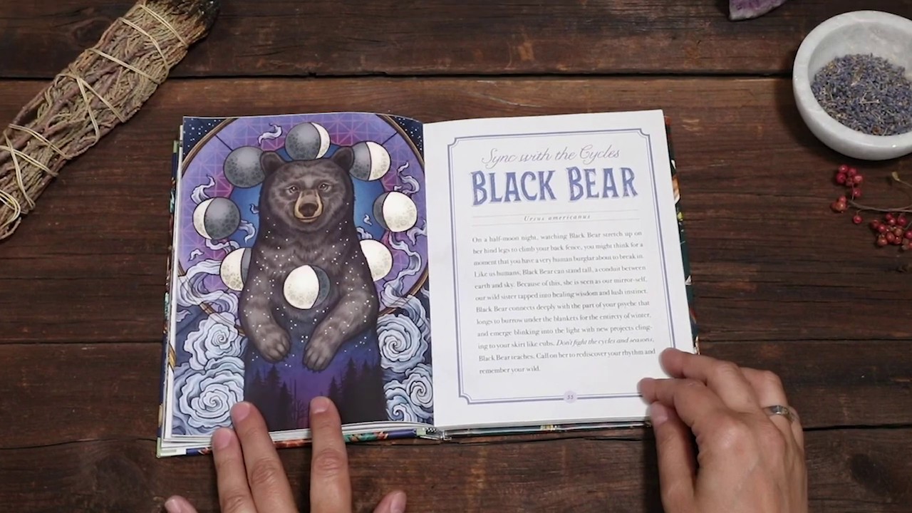 Book Trailer &mdash; The Illustrated Bestiary: Guidance and Rituals from 36 Inspiring Animals