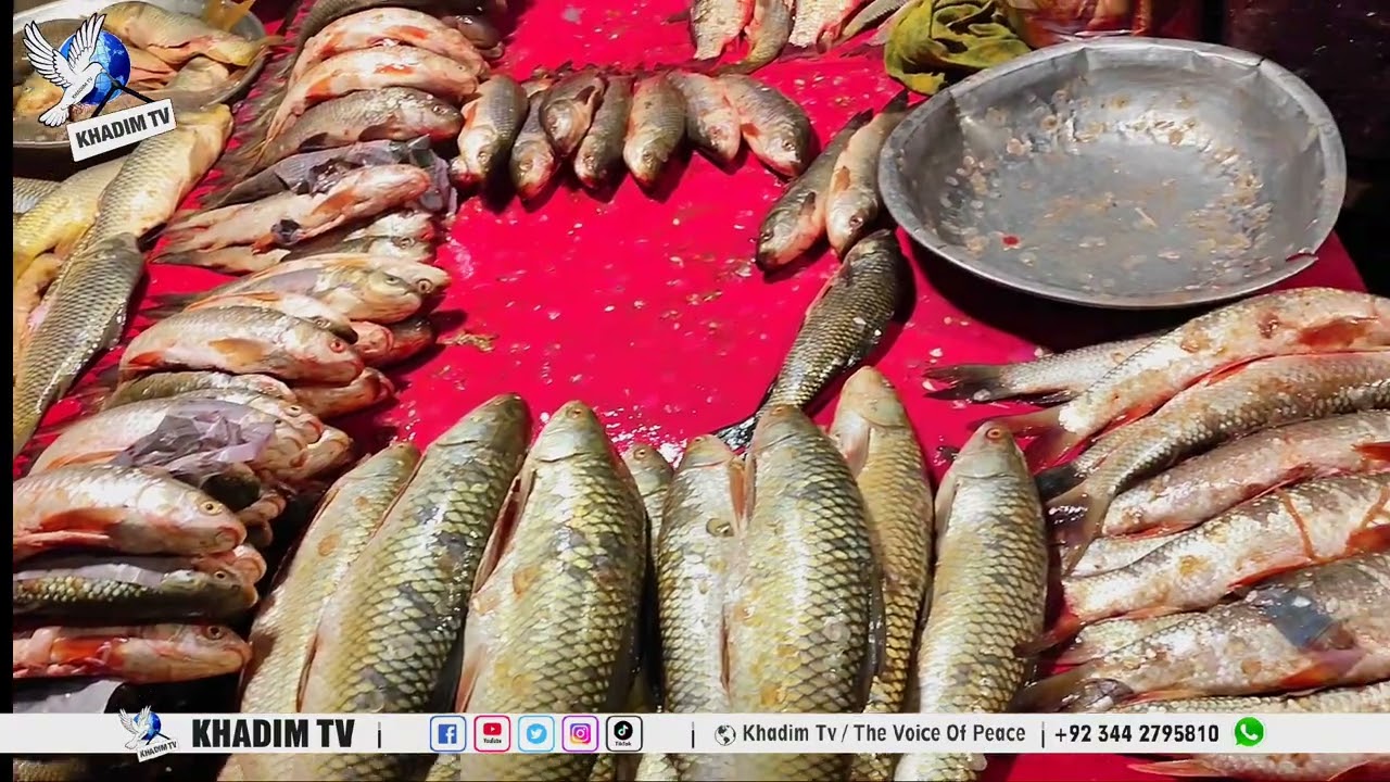 Fishing | Cold weather | Local Fish farms | Shewa Adda Swabi | Fog in Khyber Pakhtunkhwa | KhadimTV