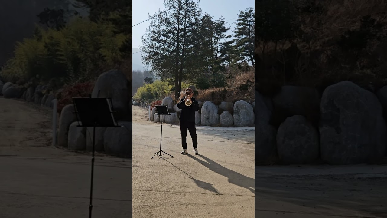 Over the Rainbow(Wizard of Oz)Flügelhorn cover practice. 