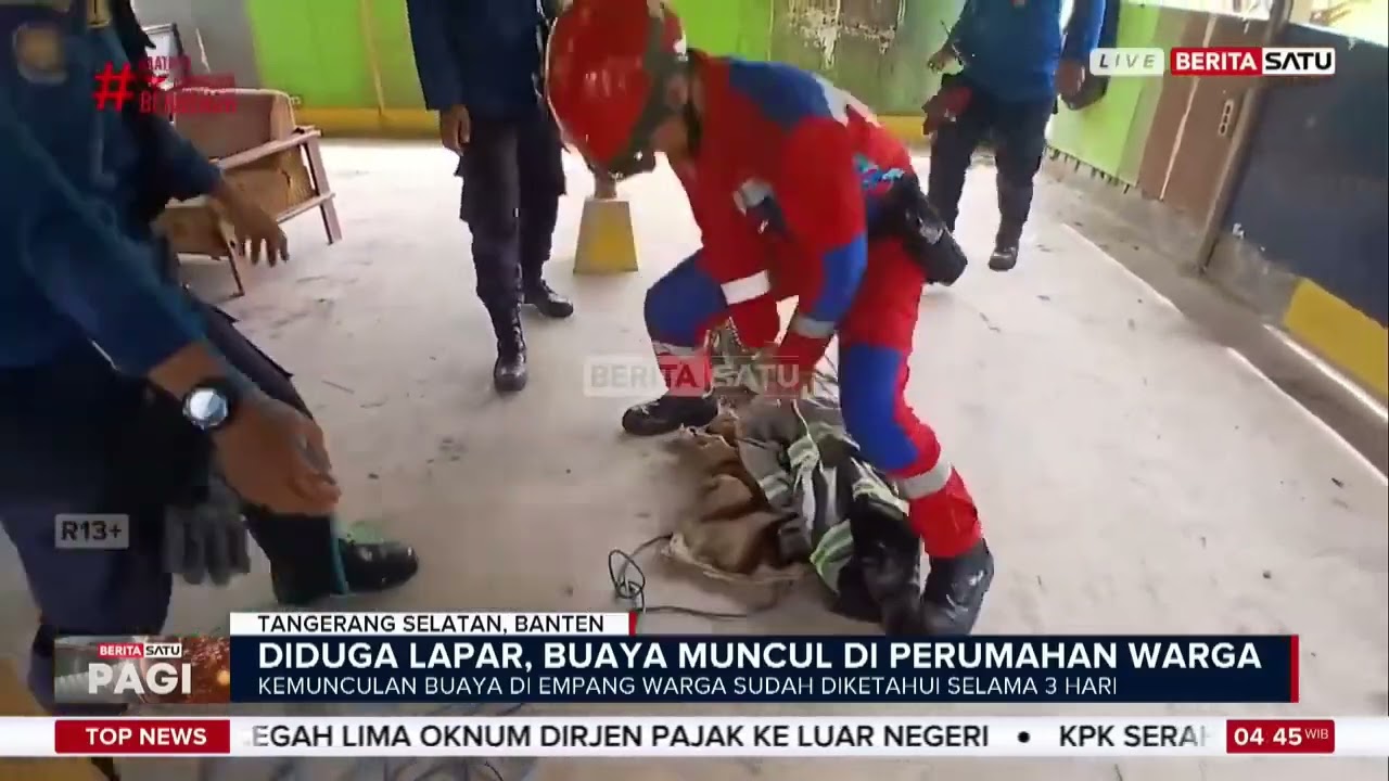 Damkar Tangkap Buaya yang Muncul di Empang Warga Daerah Tangsel 