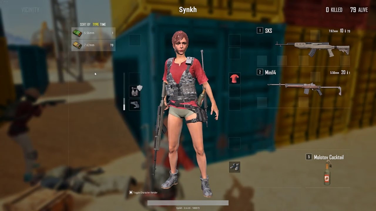 PUBG China number #1