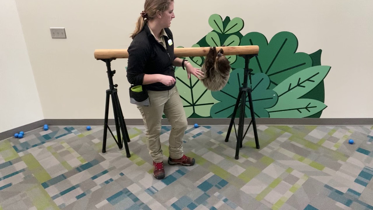 Keeper Corner: Sloth
