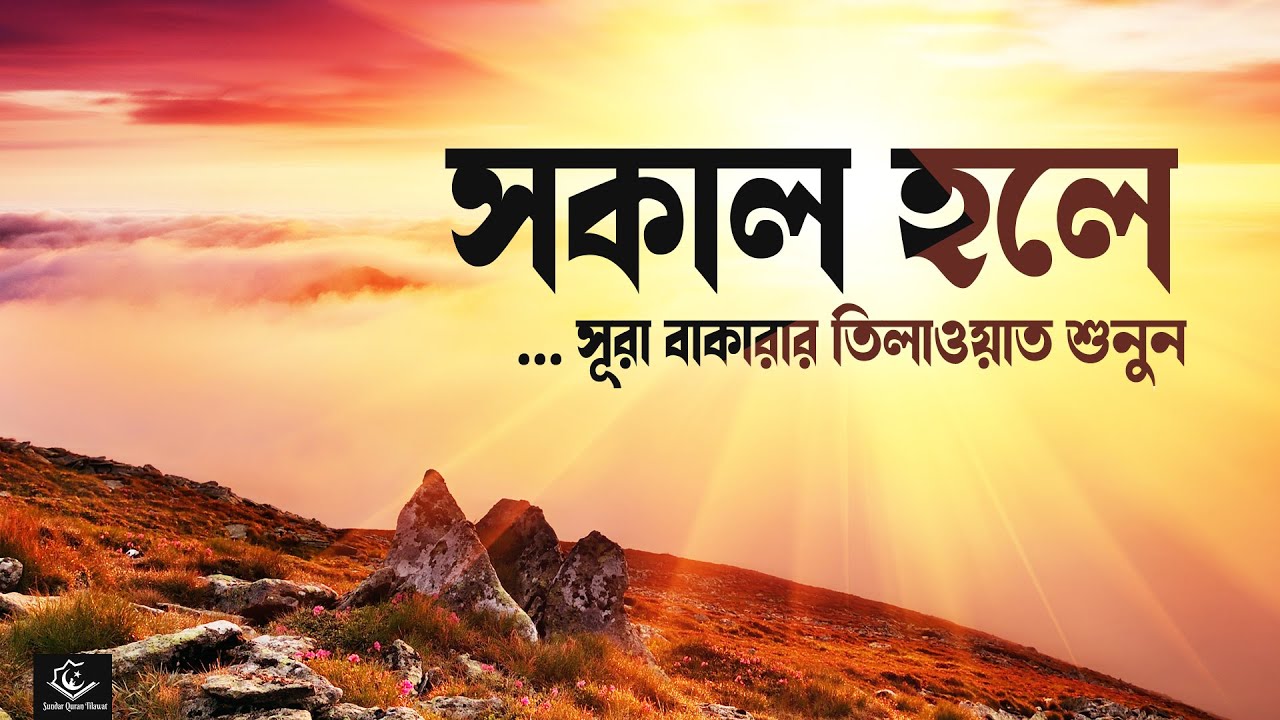 সকালটা শুরু করুন সূরা বাকারার সুন্দর কুরআন তিলাওয়াত শুনে । BEAUTIFUL QURAN RECITATION BY AHMED SAMEH