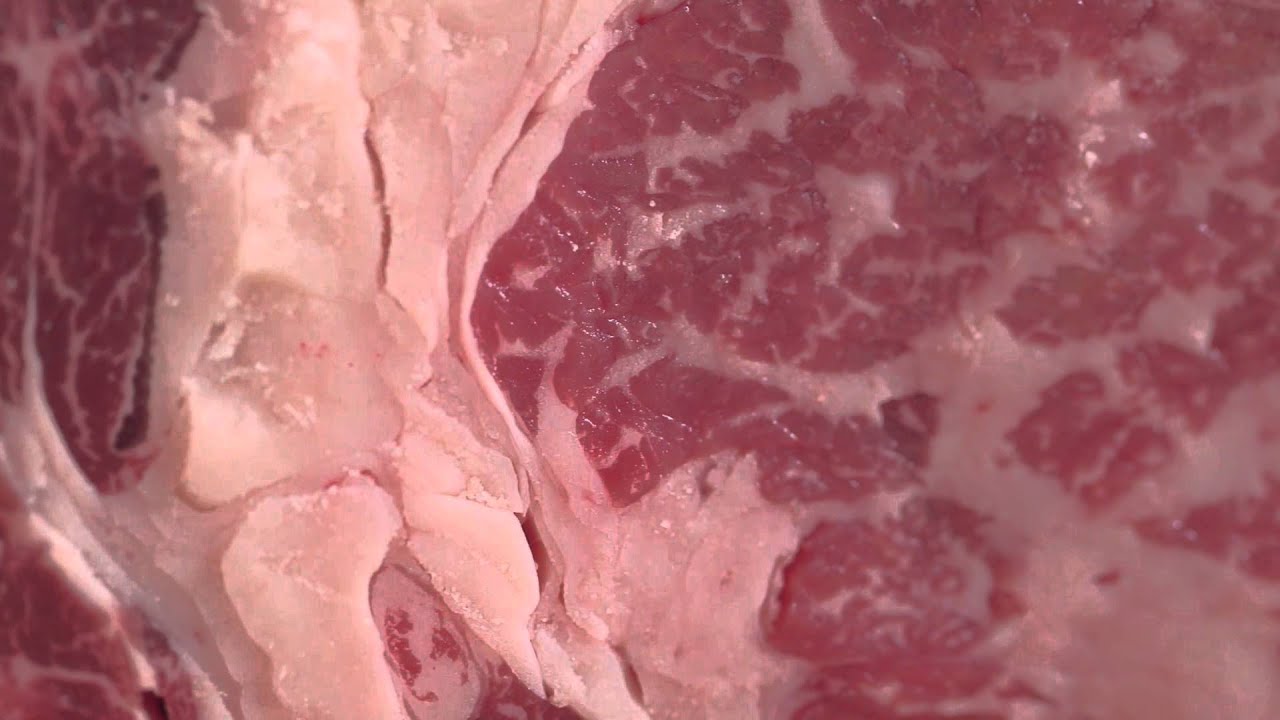 Zagt Vlees op de opening van Primedinners