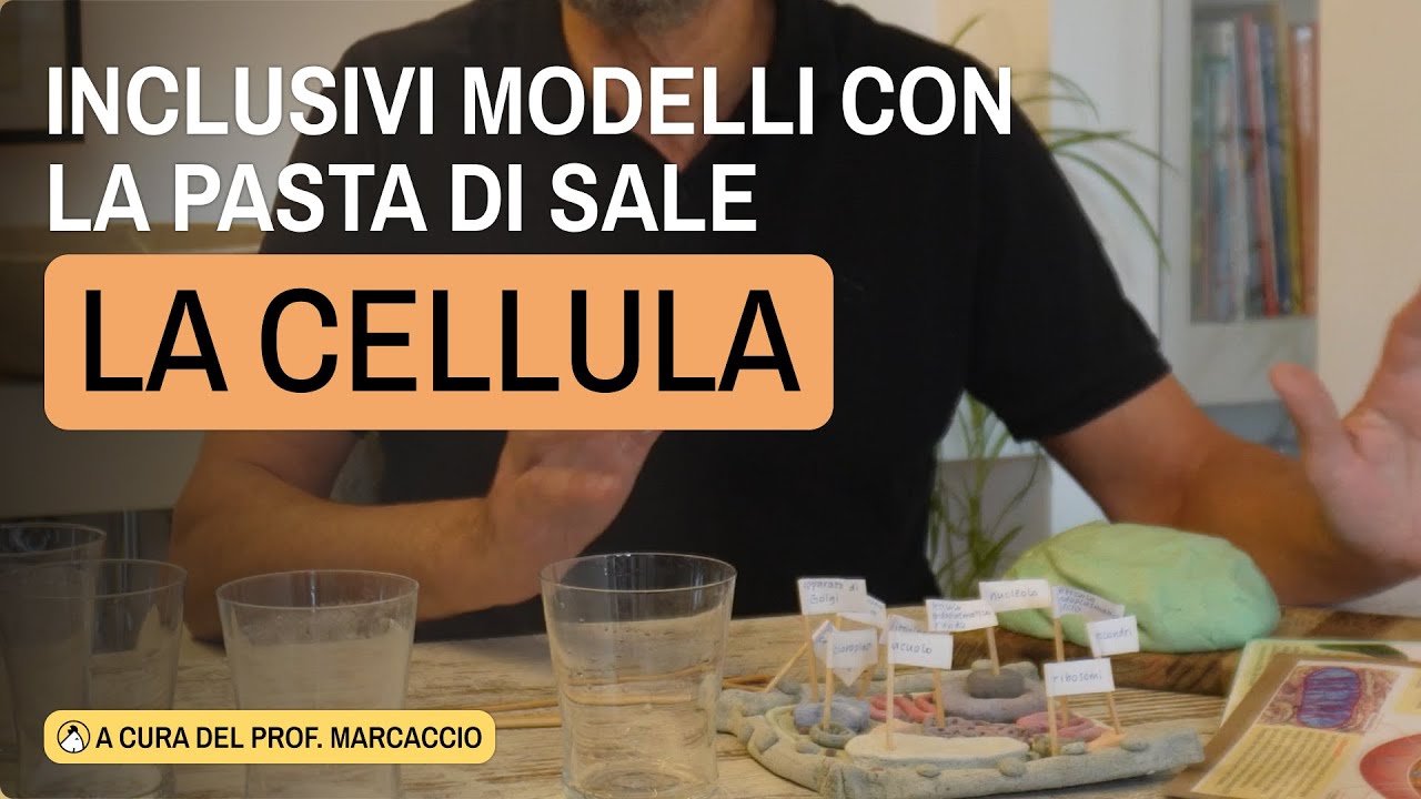 COSTRUIRE LE CELLULE CON LA PASTA SALE... IN CLASSE
