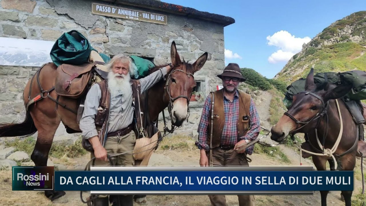 DA CAGLI ALLA FRANCIA, IL VIAGGIO IN SELLA DI DUE MULI