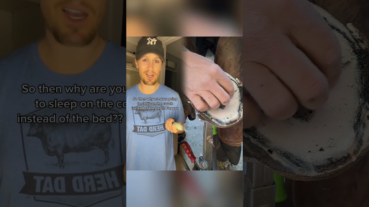 #mentalabuse