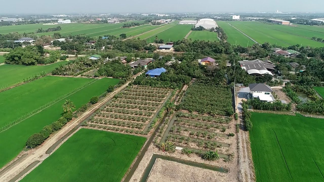 กรมพัฒนาที่ดิน - เกษตรทฤษฎีใหม่ 2563