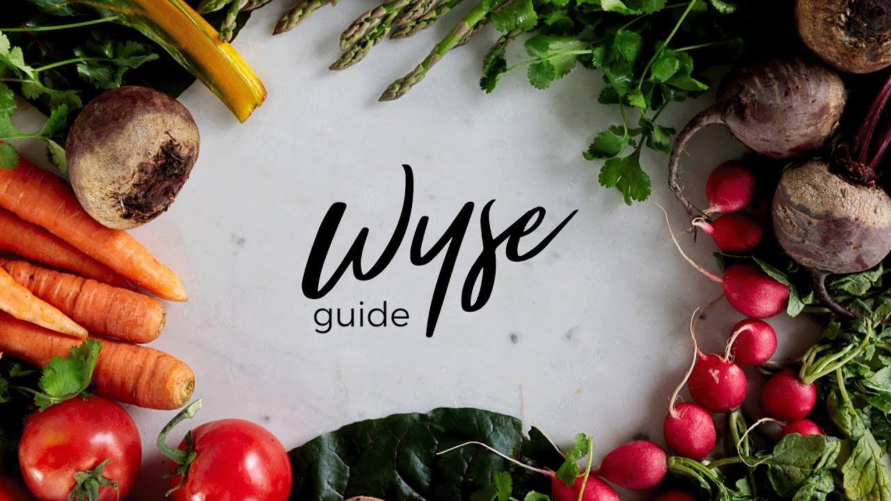 Welcome to the Wyse Guide