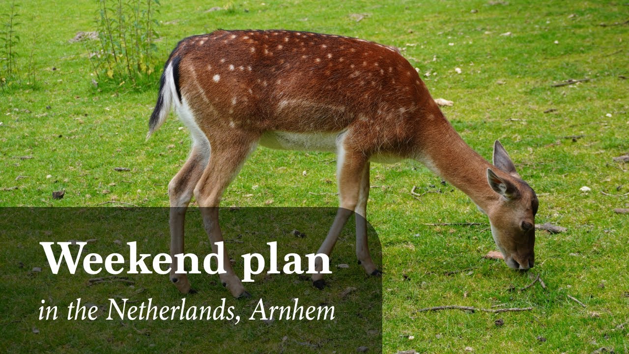 [4k] Weekend plan in the Netherlands, Arnhem - No talking