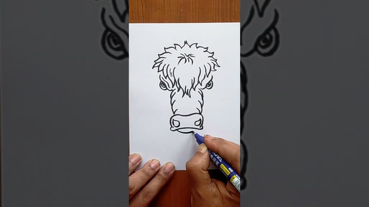 How To Draw A Bison #shorts #YTshorts #trending #viral | Easy Drawings | Magic Drawings #animals