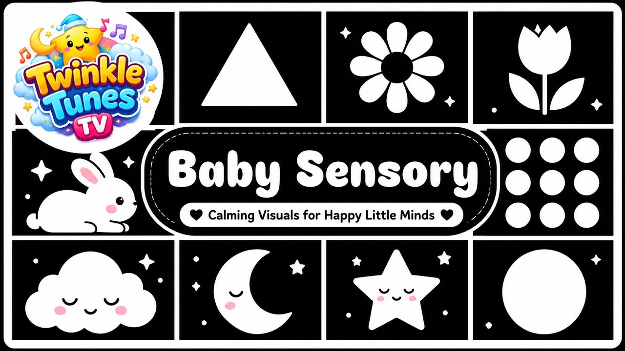 Black & White Sensory Lullaby Video for Newborns | Non Stimulating | 12 Mins
