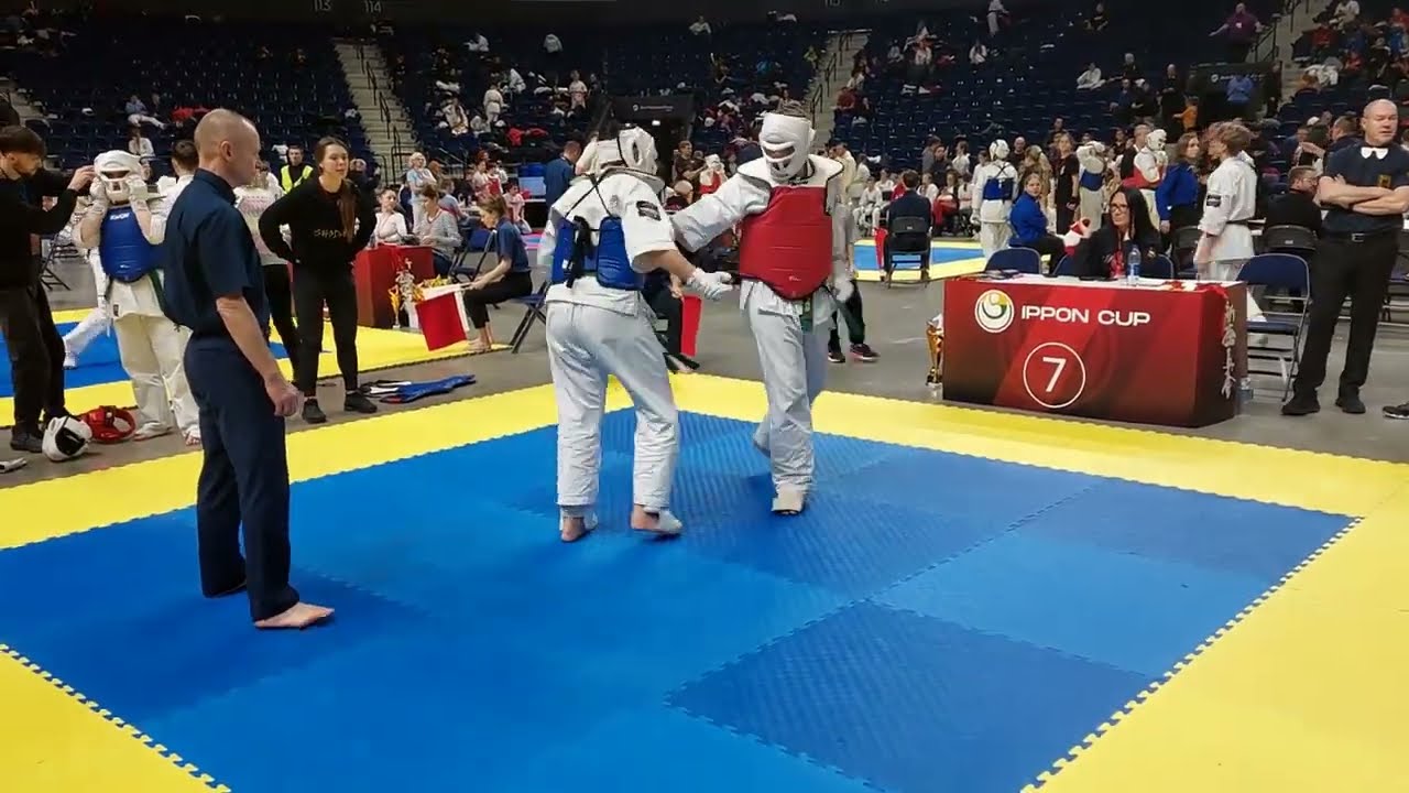Brawl Art na tatami. IPPON CUP 2023 International tournament for European karate clubs