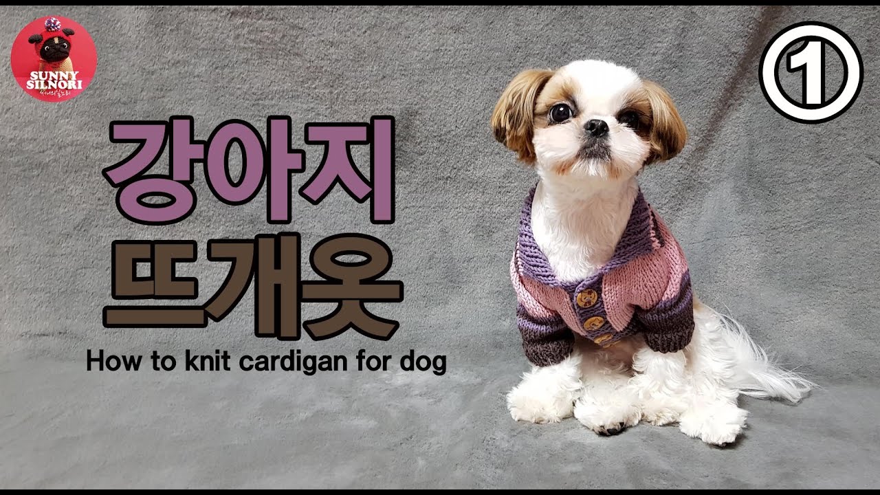 [써니의실노리]강아지 가디건 뜨기 part.1 l How to knit cardigan for dog
