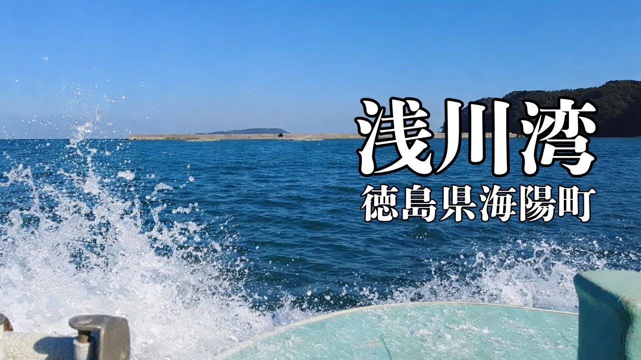 徳島・海陽町 浅川湾｜静かな湾内の癒し漁船の乗船風景と養殖場で釣り体験