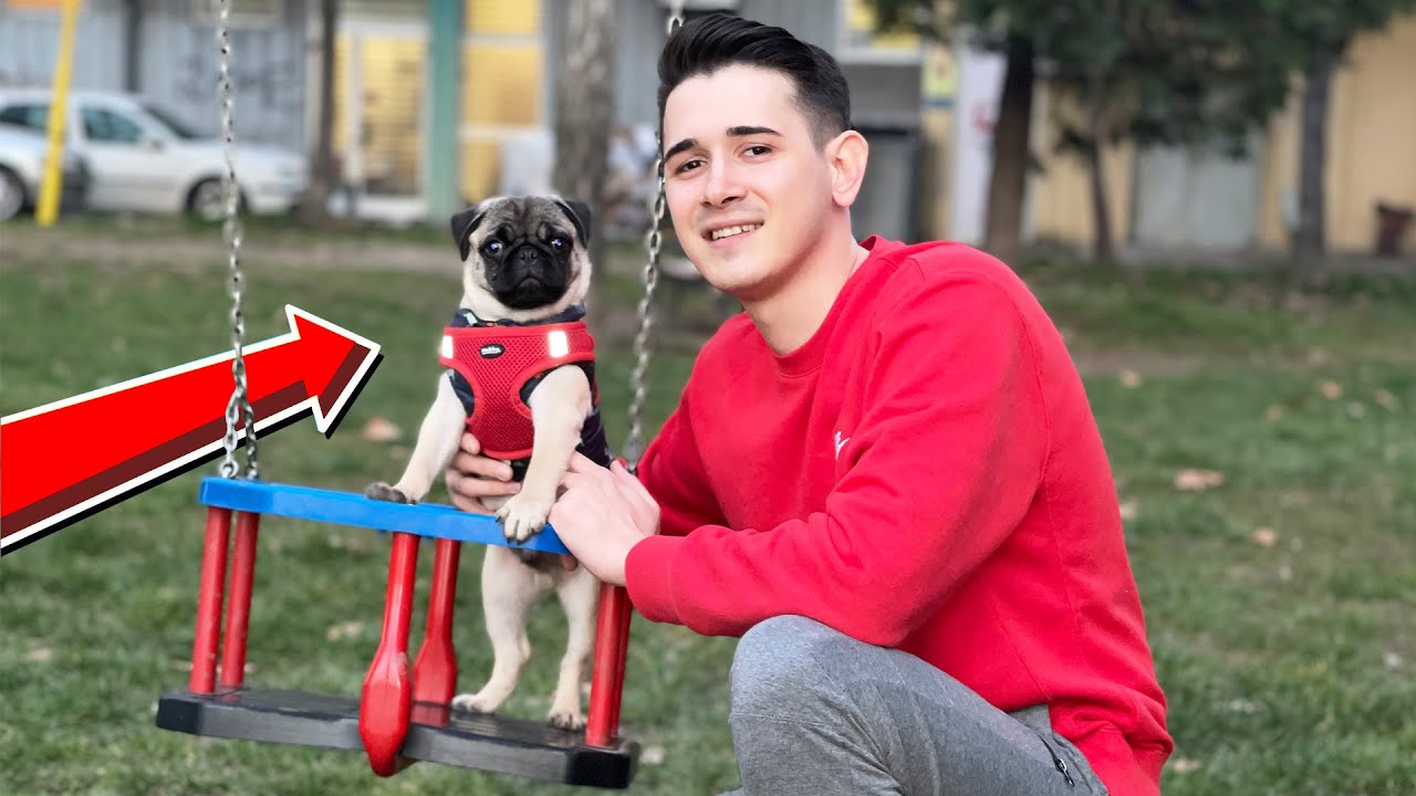 OVO JE MOJ PAS PABLO!