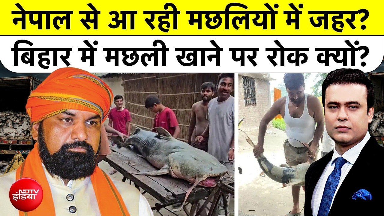 Syed Suhail | Nepal Flash Flood | नेपाल से आ रही मछलियों में जहर? Bihar में Fish खाने पर रोक क्यों?