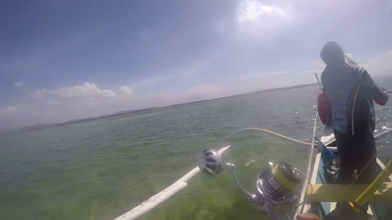 Catch of the Day | Lizard Fish | Calatagan Batangas