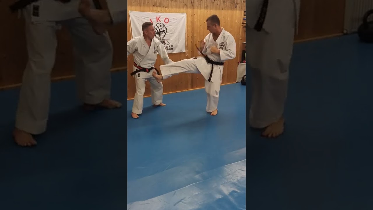 YAKUSOKU KUMITE - BLOCKING MAE GERI - UDE UKE (STEP BACK)