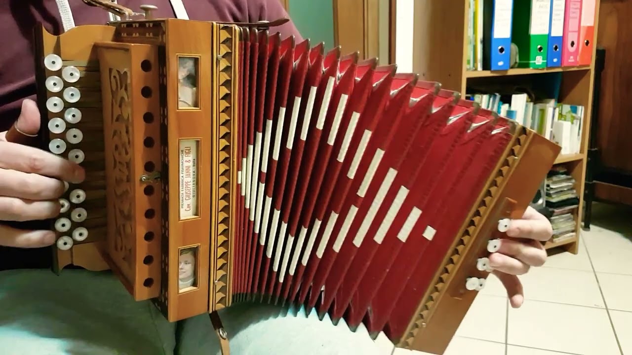 Organetto LA-RE Giuseppe Janni 8 bassi 19 Tasti