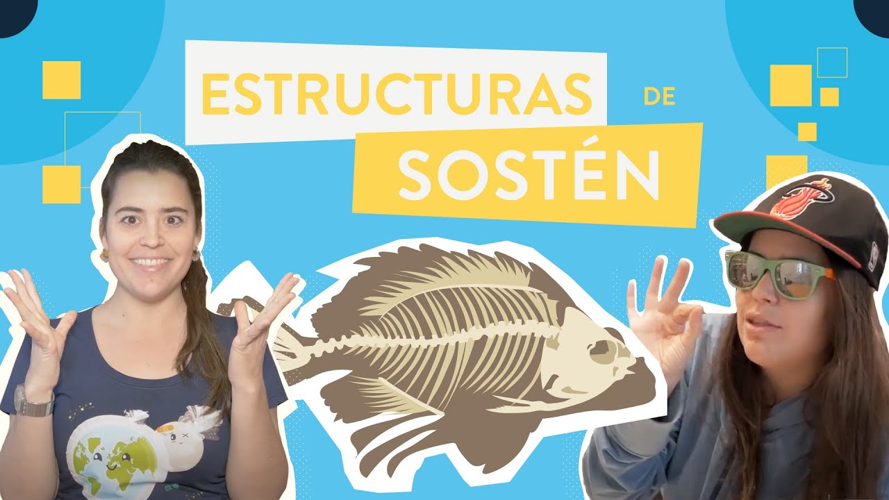 Estructuras de sostén