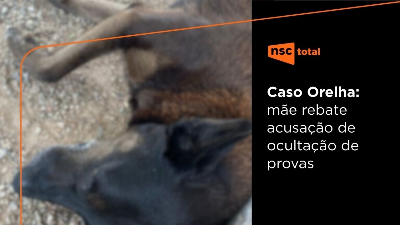 Cão Orelha: mãe de adolescente suspeito nega ocultar provas | NSC News