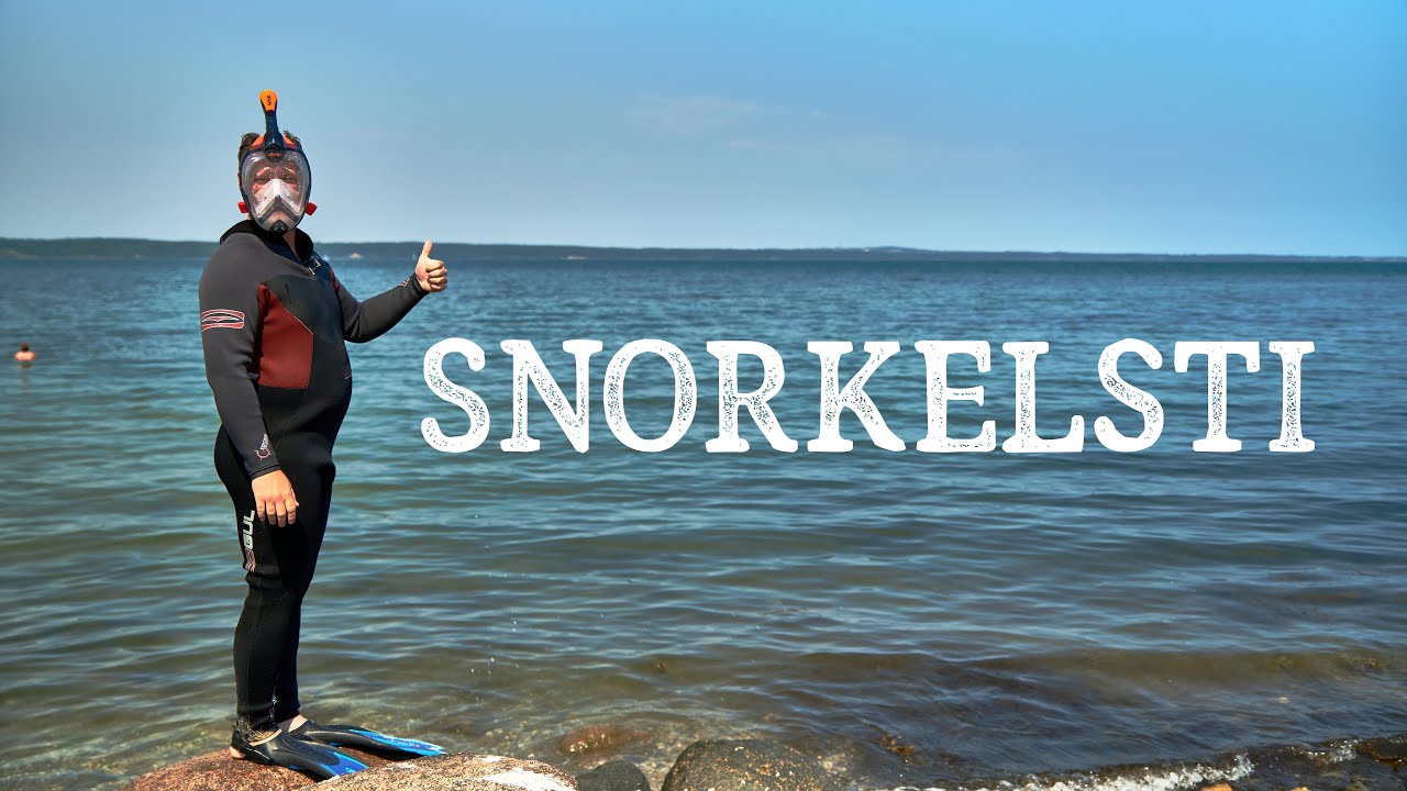 P&aring; opdagelse under havets overflade // Snorkelsti ved Trelde N&aelig;s, Naturformidling, dansk naturfilm