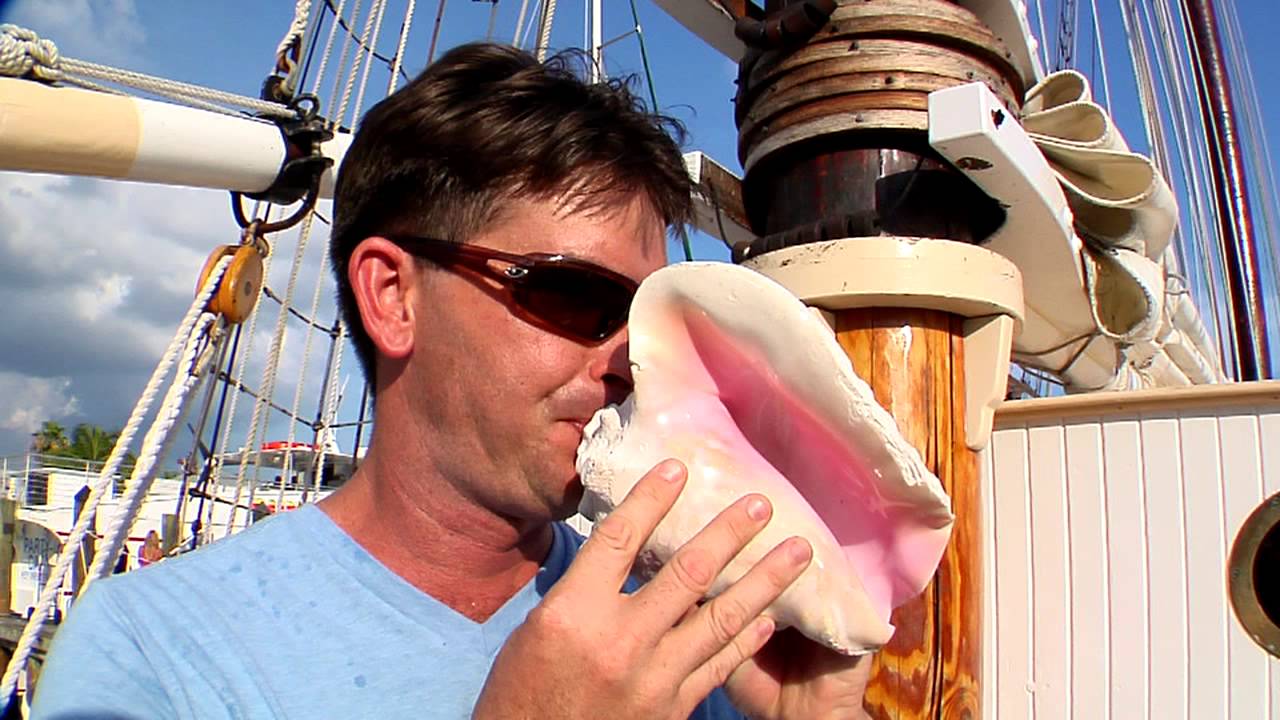 How to Blow a Conch Shell | Art Loft
