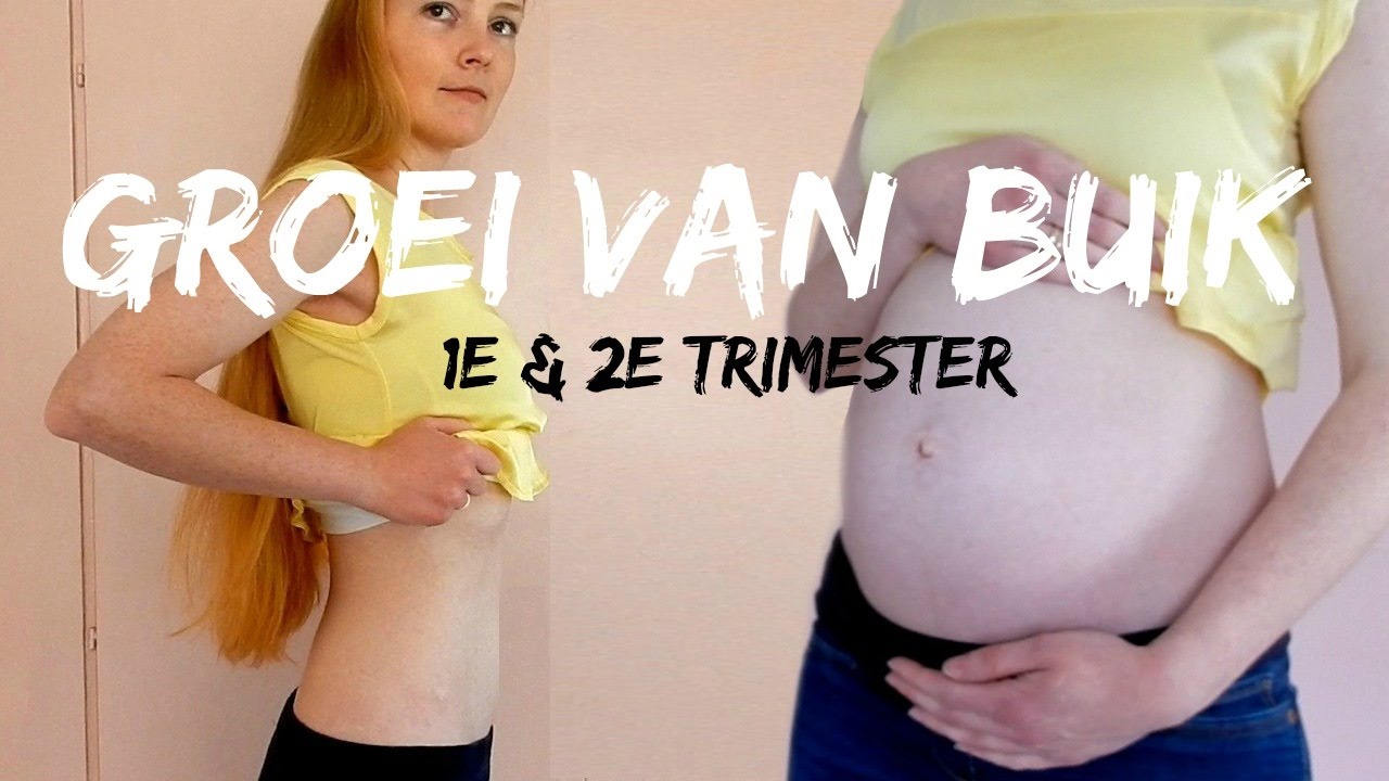 GROEI VAN ZWANGERE BUIK | 1e & 2e trimester zwangerschap
