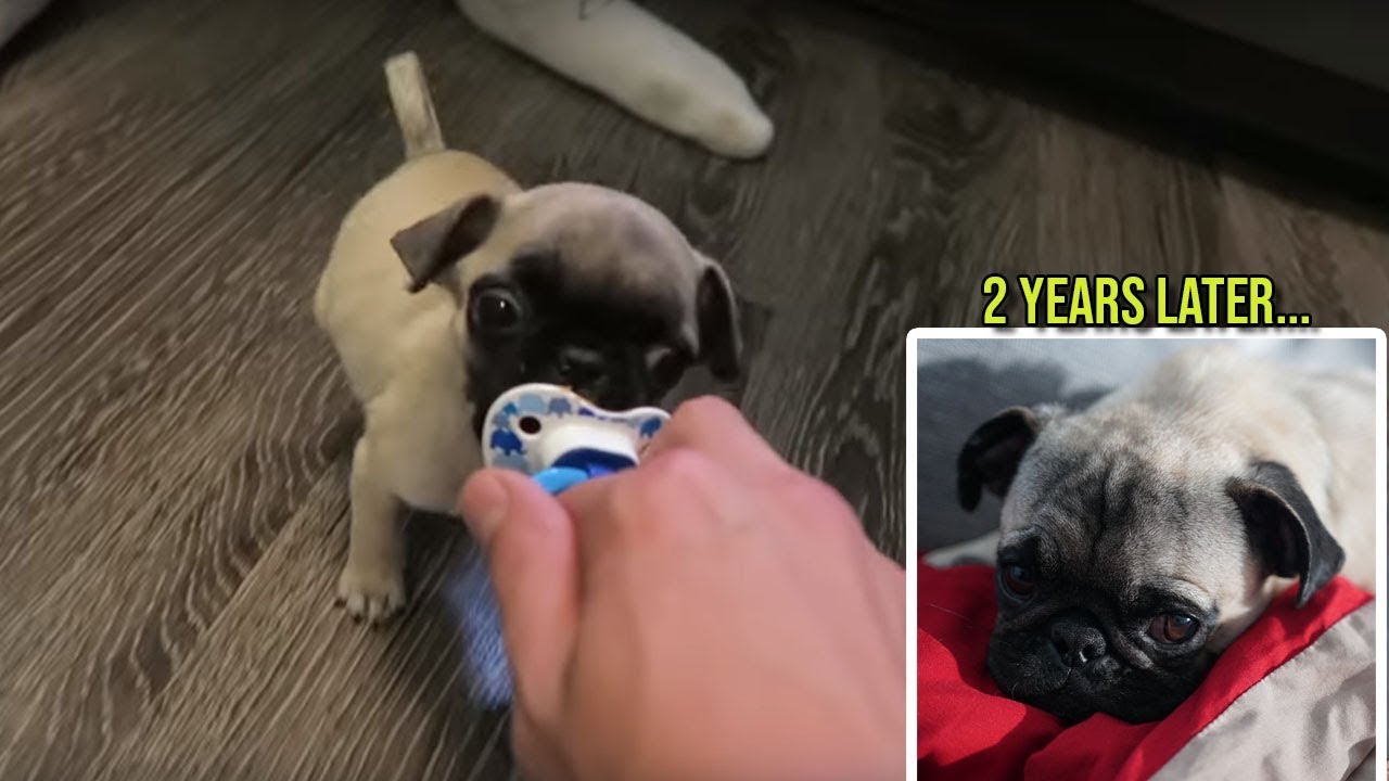 HE ONLY HAS 2 YEARS TO LIVE!! (Where Is He Now?)