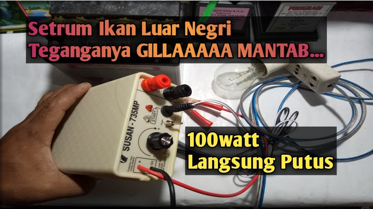 TESs Setrum Ikan Luar Negri susan 735mp Dahsyattttt