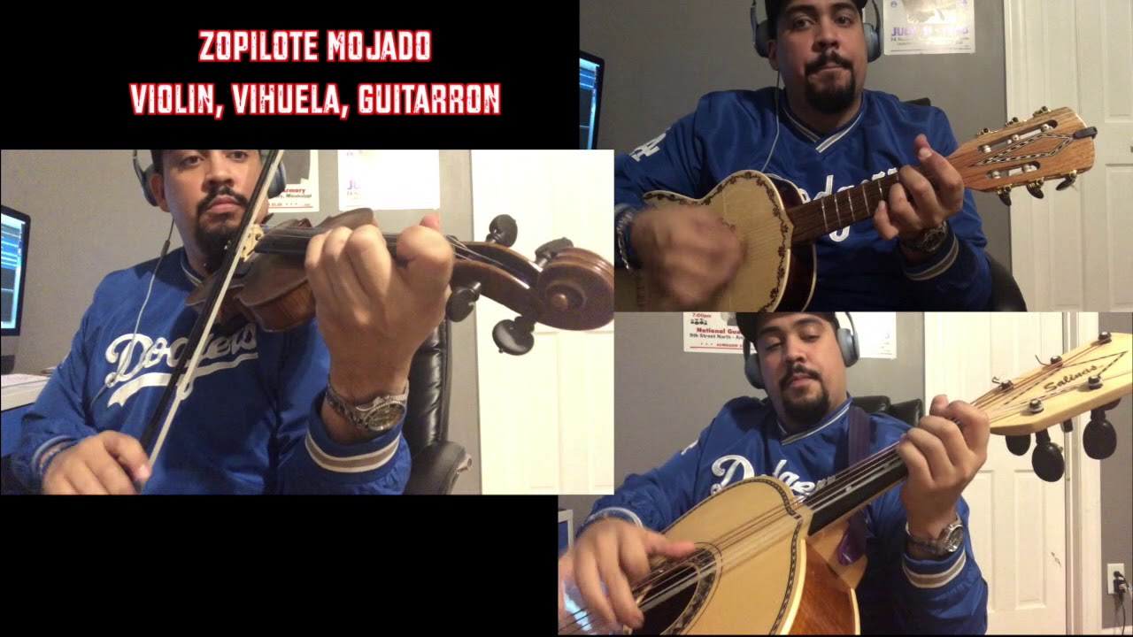 'Zopilote Mojado' Violin, Vihuela, Guitarron Cover