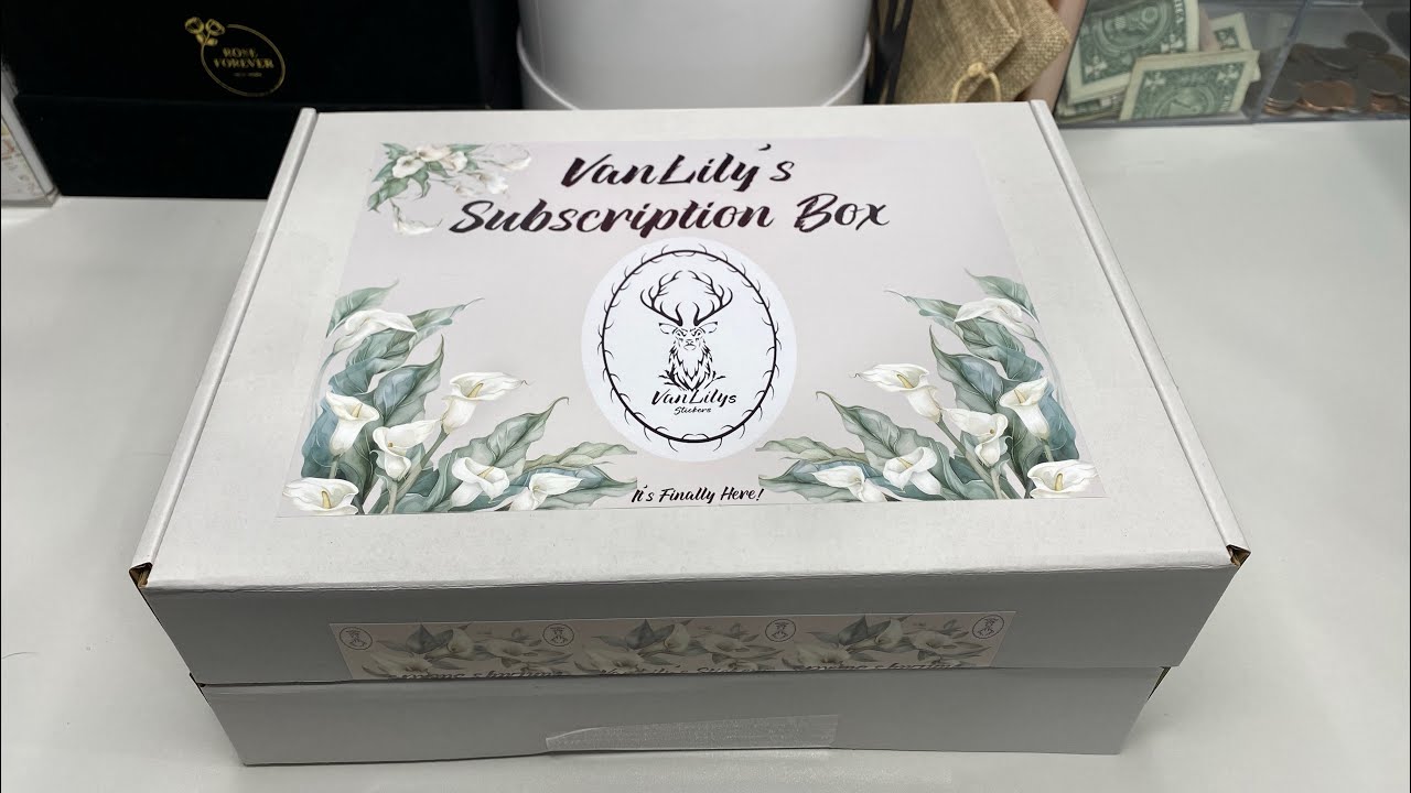 VanLily&rsquo;s TBM BBP Subscription Box Unboxing!  February Stickers + A Surprise 😮