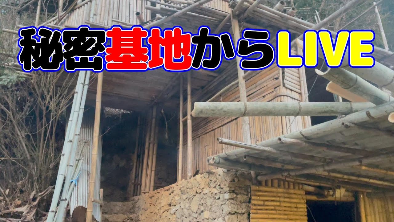 秘密基地ライブ  FEB.03.2026　#鳥の鳴き声　♯自然の音声　#いの町