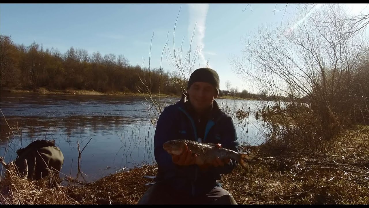 Супер рыбалка на живца поплавочной удочкой, такой рыбы я не ожидал увидеть .Весна природа оживает.