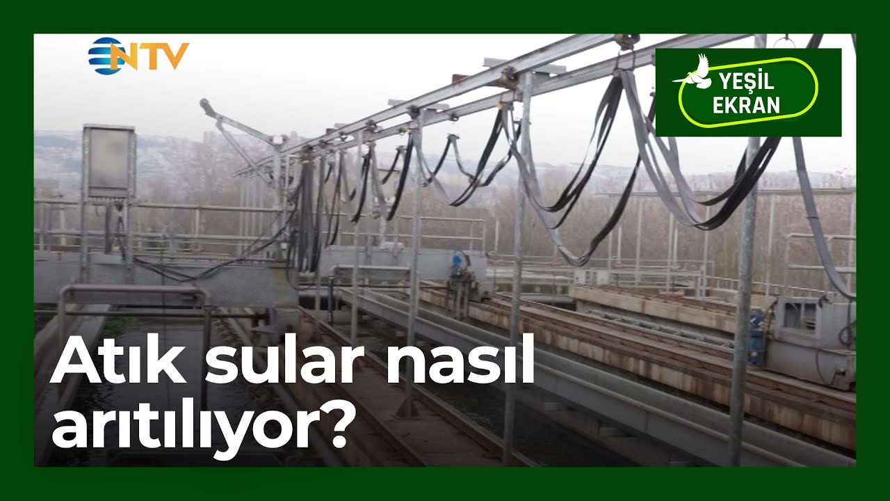 Atık sular nasıl arıtılıyor? | Yeşil Ekran- 26 Ocak 2026