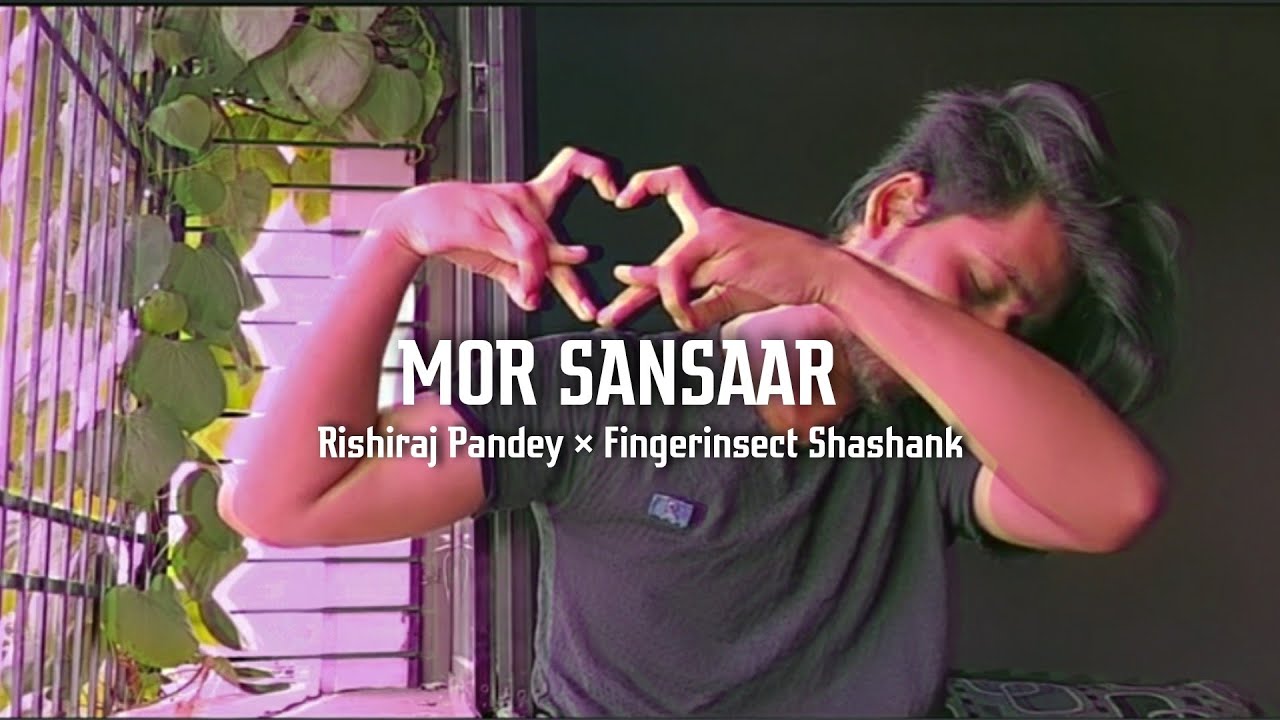 Mor Sansaar Cg Song | RISHIRAJ PANDEY | FINGERINSECT SHASHANK | Finger Dance video