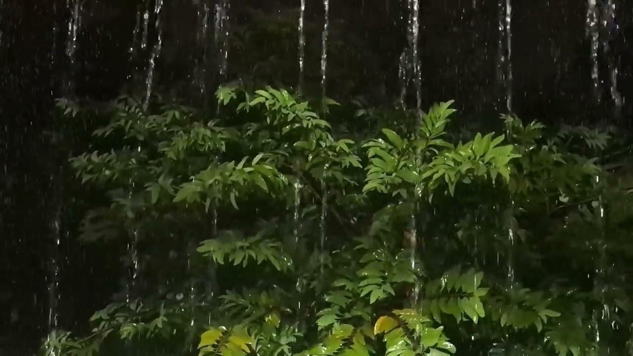 Sleep in 3 Minutes: Relaxing Rain Sound for Deep Sleep Black Screen Format for Eye Comfort
