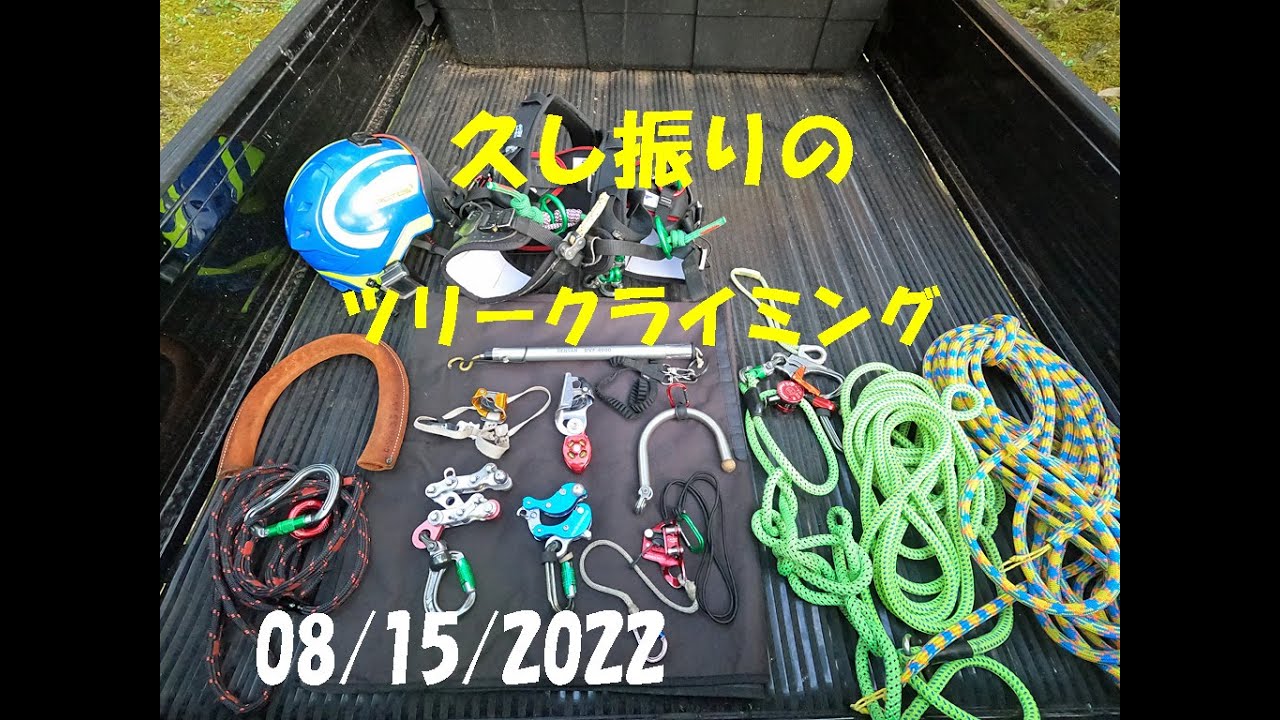 久し振りのツリークライミング:大源太農園20220815