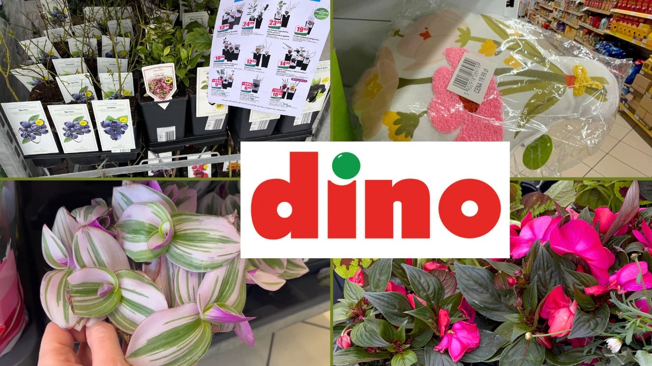 Szybki przegląd p&oacute;łek w Dino/Trzykrotka 🌿Poduszki w kształcie bukiet&oacute;w💐