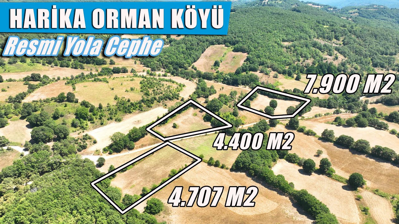 1951- Harika Bir Orman Köyü: Beyoluk  Üç Adet 4.707 m2, 4.400 m2 ve 7.900 m2  Resmi Yola Cephe Tarla